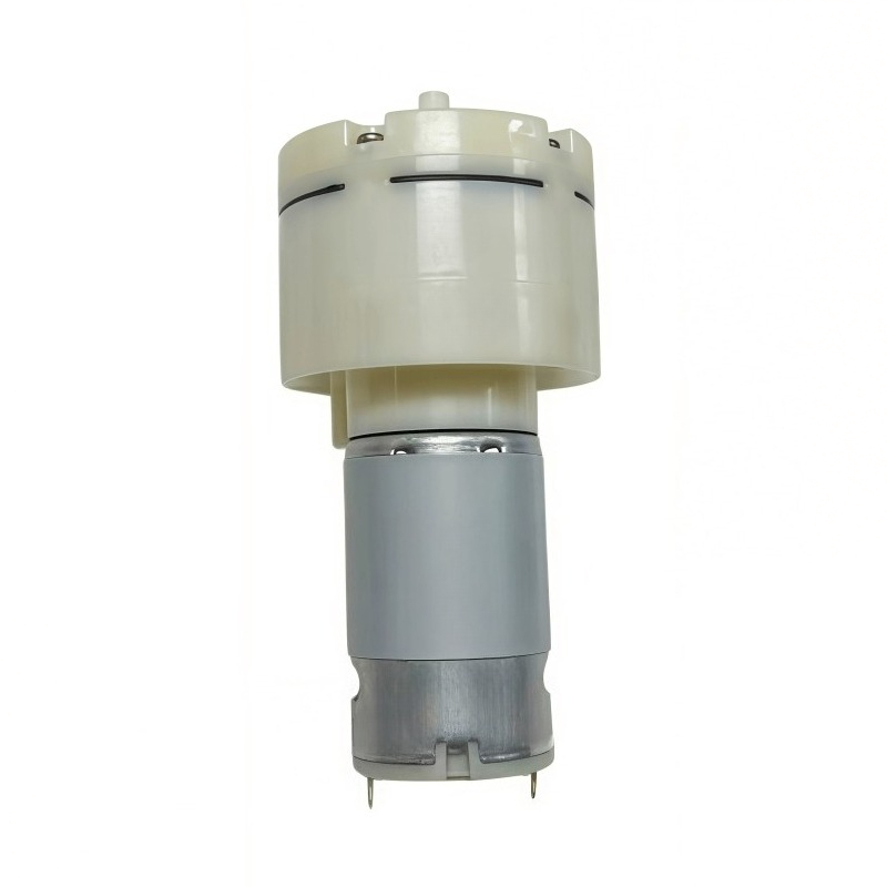 555 Mini Air Pump 12V/24V Sepa - Vacuum Chamber Small review and price