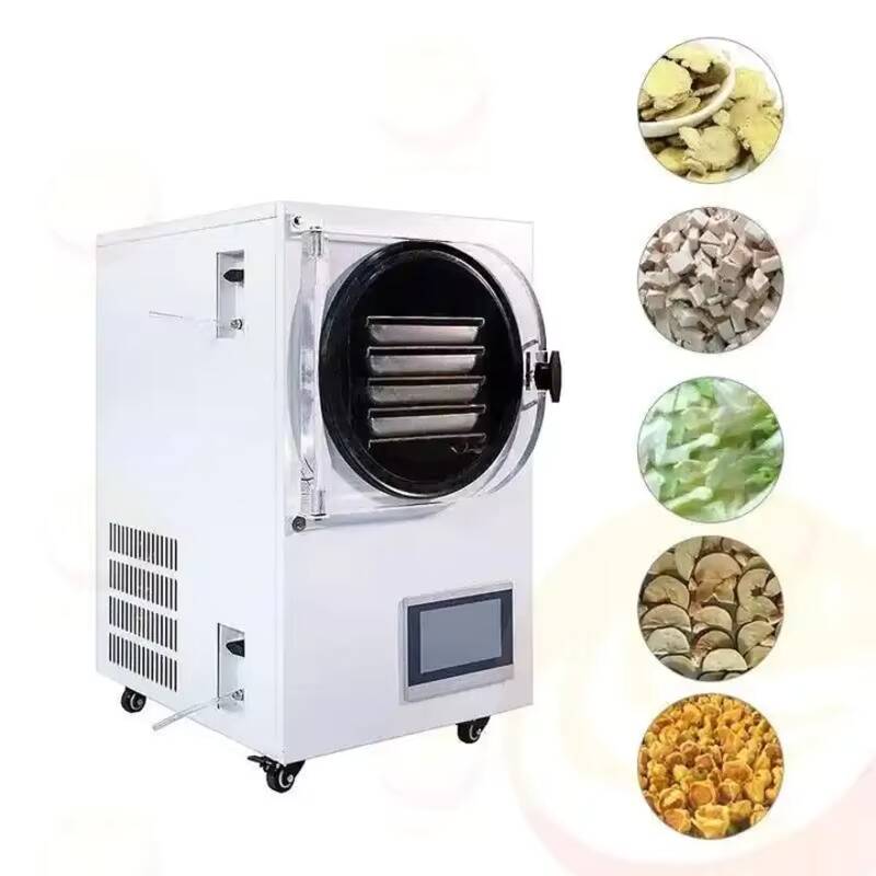 Freeze Drying Machine Small Va - Vacuum Chamber Small review and price